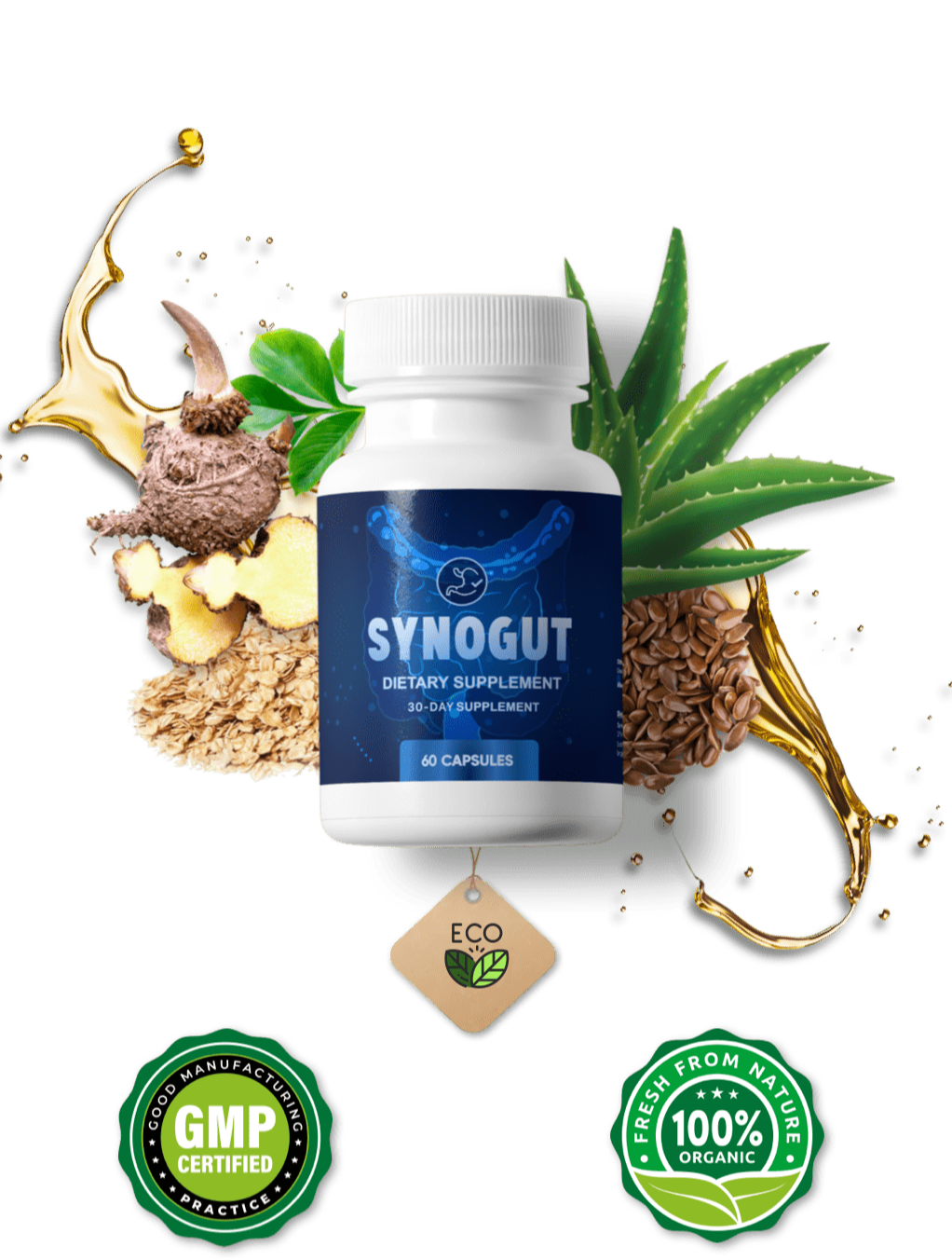 SynoGut